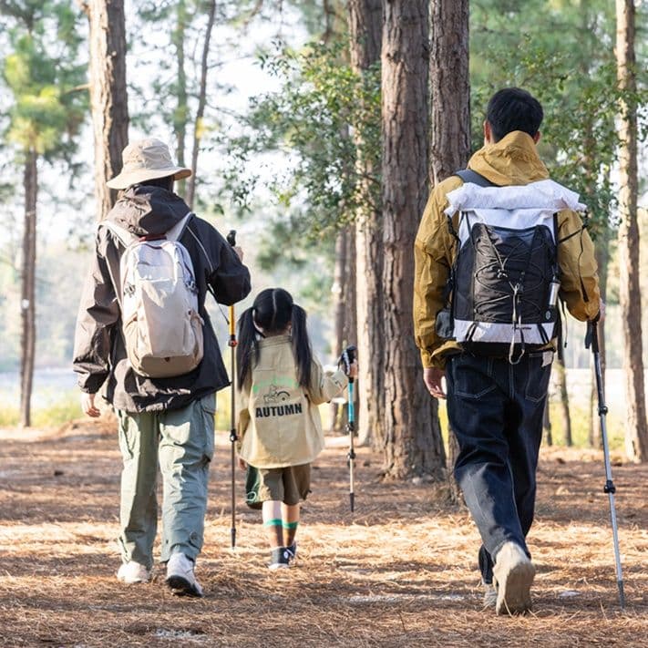 登山の杖 軽量調節式トレッキング杖