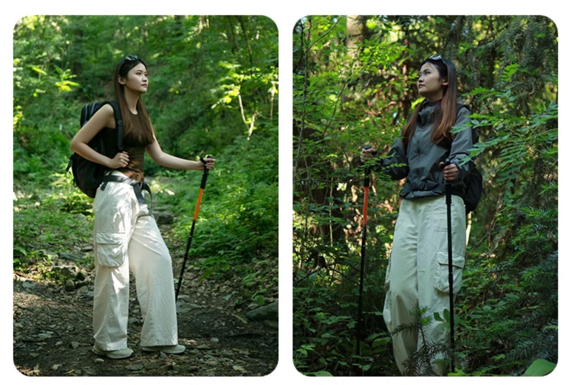 登山の杖 軽量伸縮多機能トレッキング杖