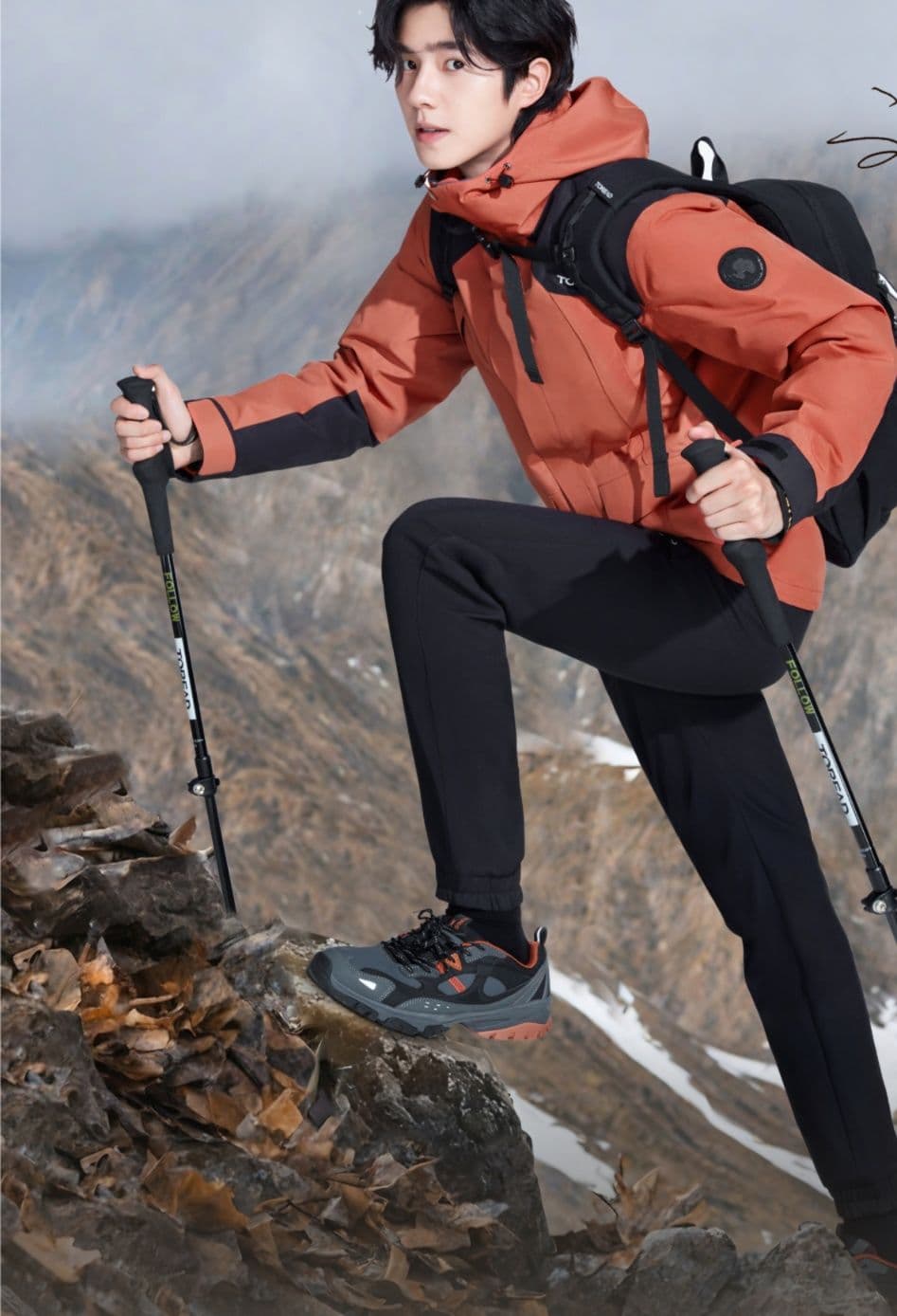 杖 登山の杖 山岳散策用防滑握り杖