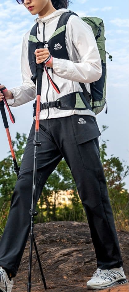 杖 登山の杖 軽量アルミ製トレッキングポール