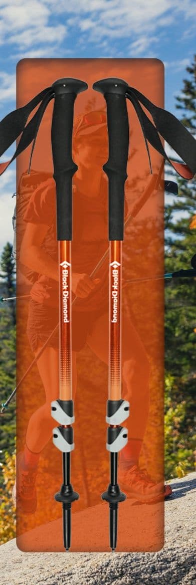 杖 登山の杖 軽量折りたたみ式トレッキングポール