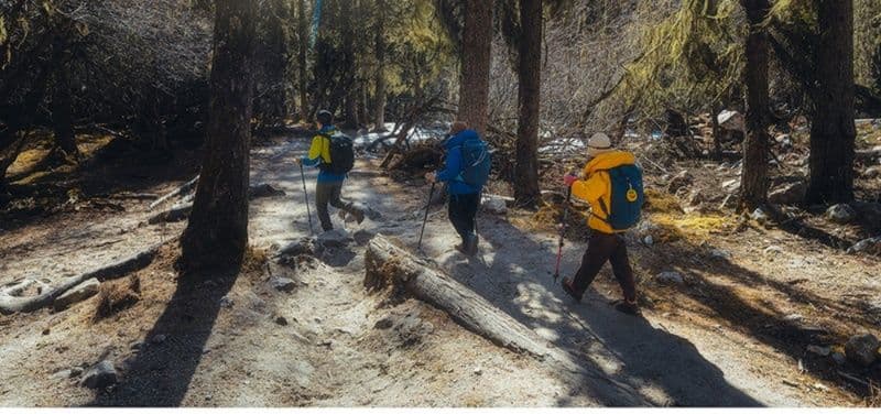 杖 登山の杖 軽量折りたたみ式登山ステッキ