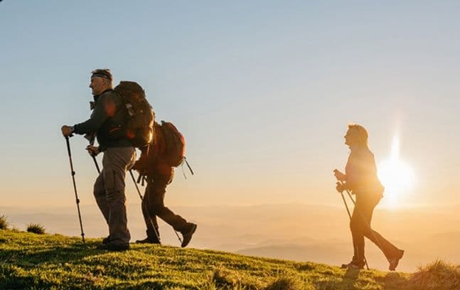 杖 登山の杖 超軽量高密度登山杖