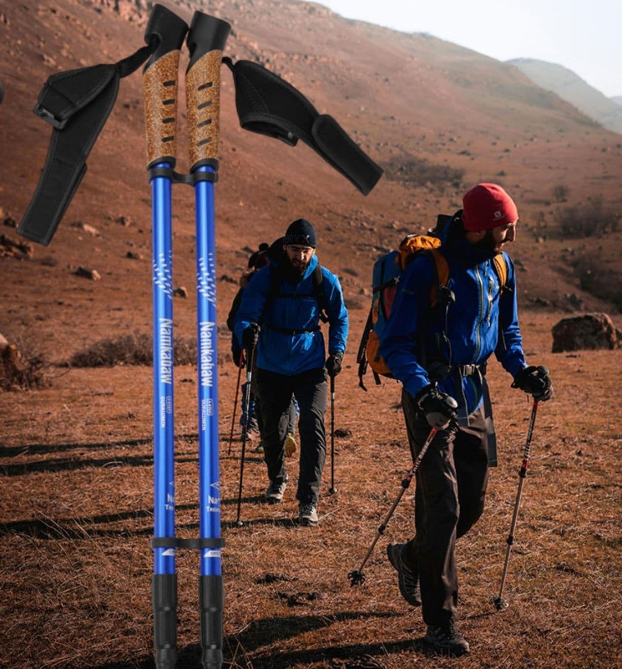 杖 ウォーキングの杖 北欧式健康ウォーキングポール