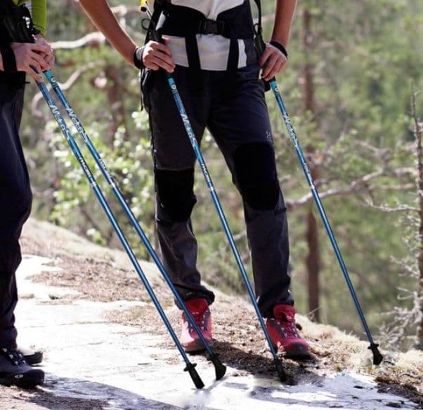杖 ウォーキングの杖 超軽量 ノルディックウォーキングポール 2本セット