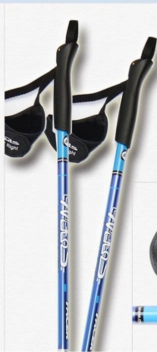 杖 ウォーキングの杖 超軽量 ノルディックウォーキングポール 2本セット