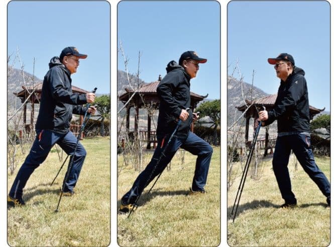 杖 ウォーキングの杖 歩行サポートトレッキングポール