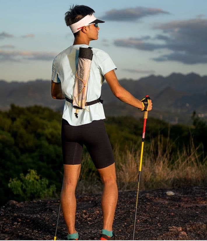 杖 登山の杖 軽量アルミ登山トレッキングポール