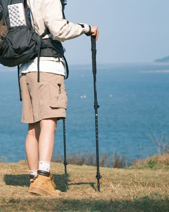 杖 登山の杖 軽量アルミ三段伸縮トレッキング杖