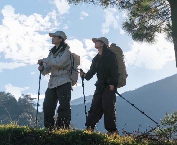 杖 登山の杖 軽量アルミ三段伸縮トレッキング杖