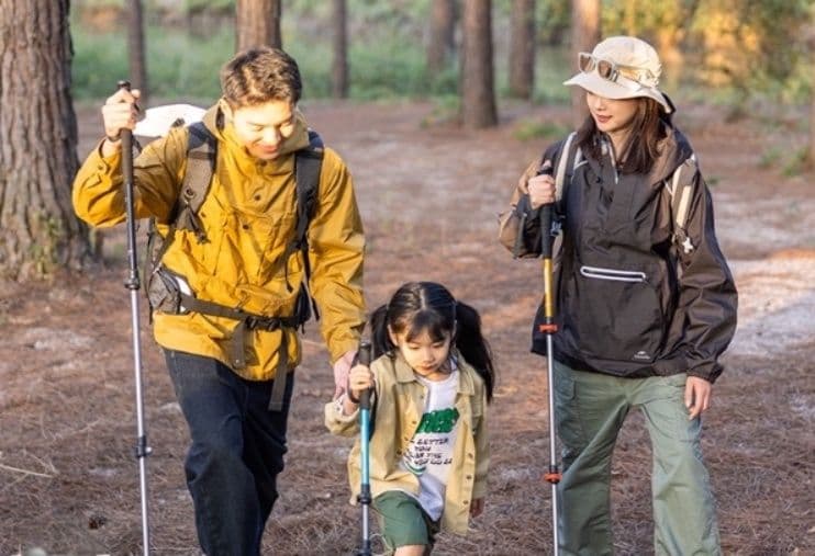 杖 ウォーキングの杖 快適グリップ 軽量トレッキング杖