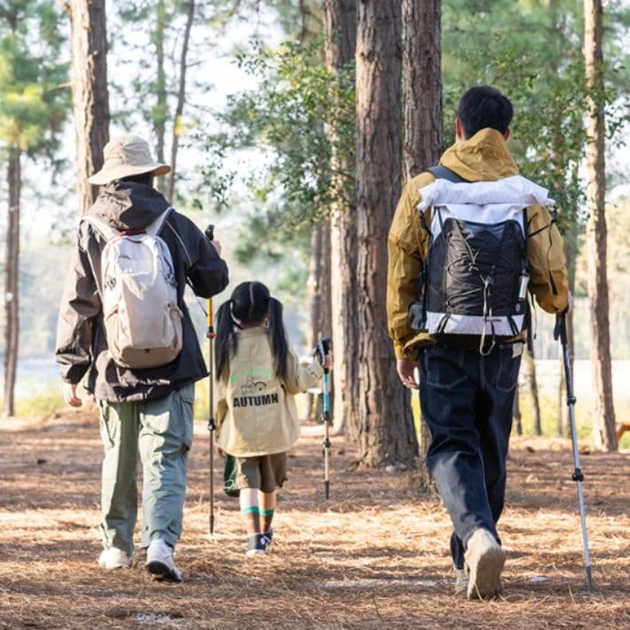 杖 ウォーキングの杖 快適グリップ 軽量トレッキング杖