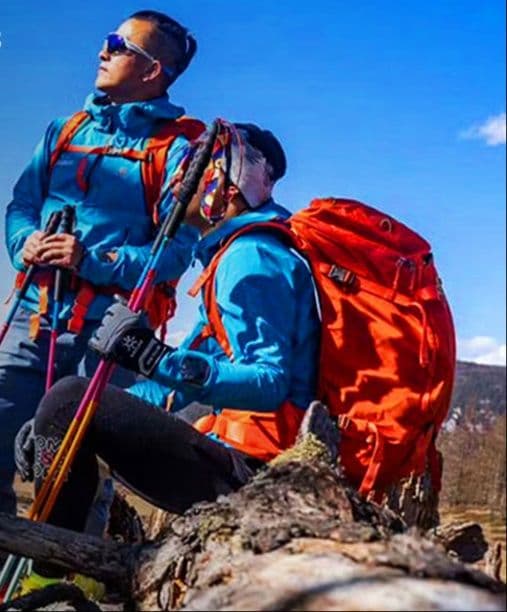 杖 登山の杖 超軽量カーボン製トレッキング杖