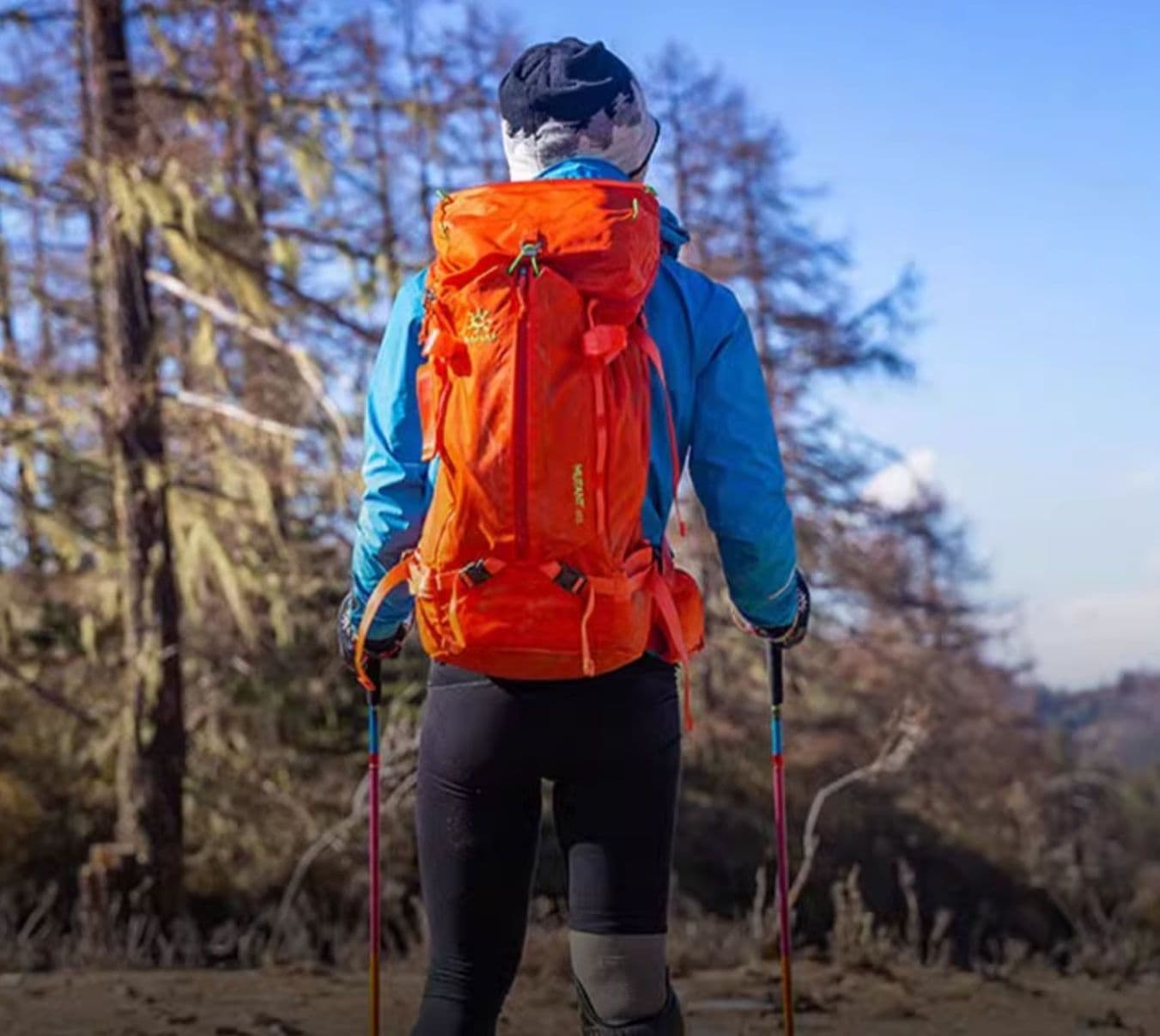 杖 登山の杖 超軽量カーボン製トレッキング杖