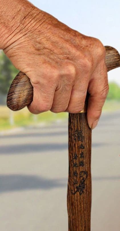 杖 ウォーキングの杖 天然木匠の技和風杖