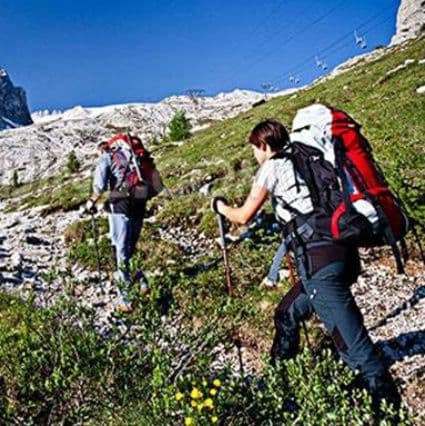 杖 登山の杖 多機能アウトドア軽量伸縮杖