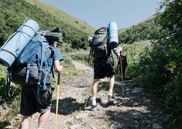 杖 登山の杖 山岳散策 耐久木製トレッキング杖