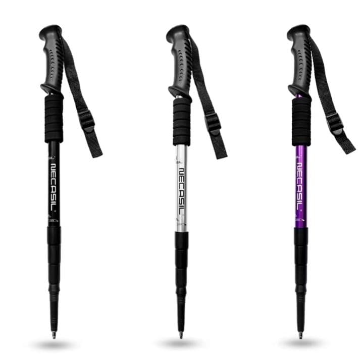 杖 プロフェッショナル登山サポーター