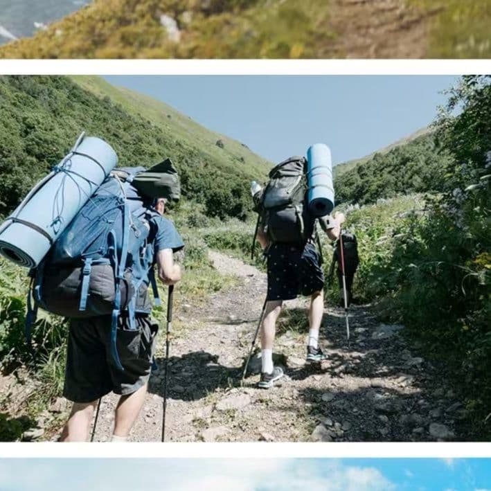 杖 プロフェッショナル登山サポーター