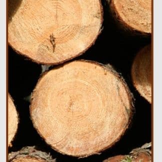 杖 鳥背型グリップ 高級杖