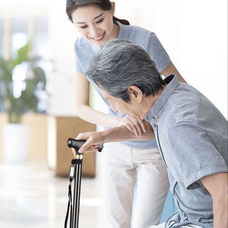 杖 多脚式安定ウォーキング杖