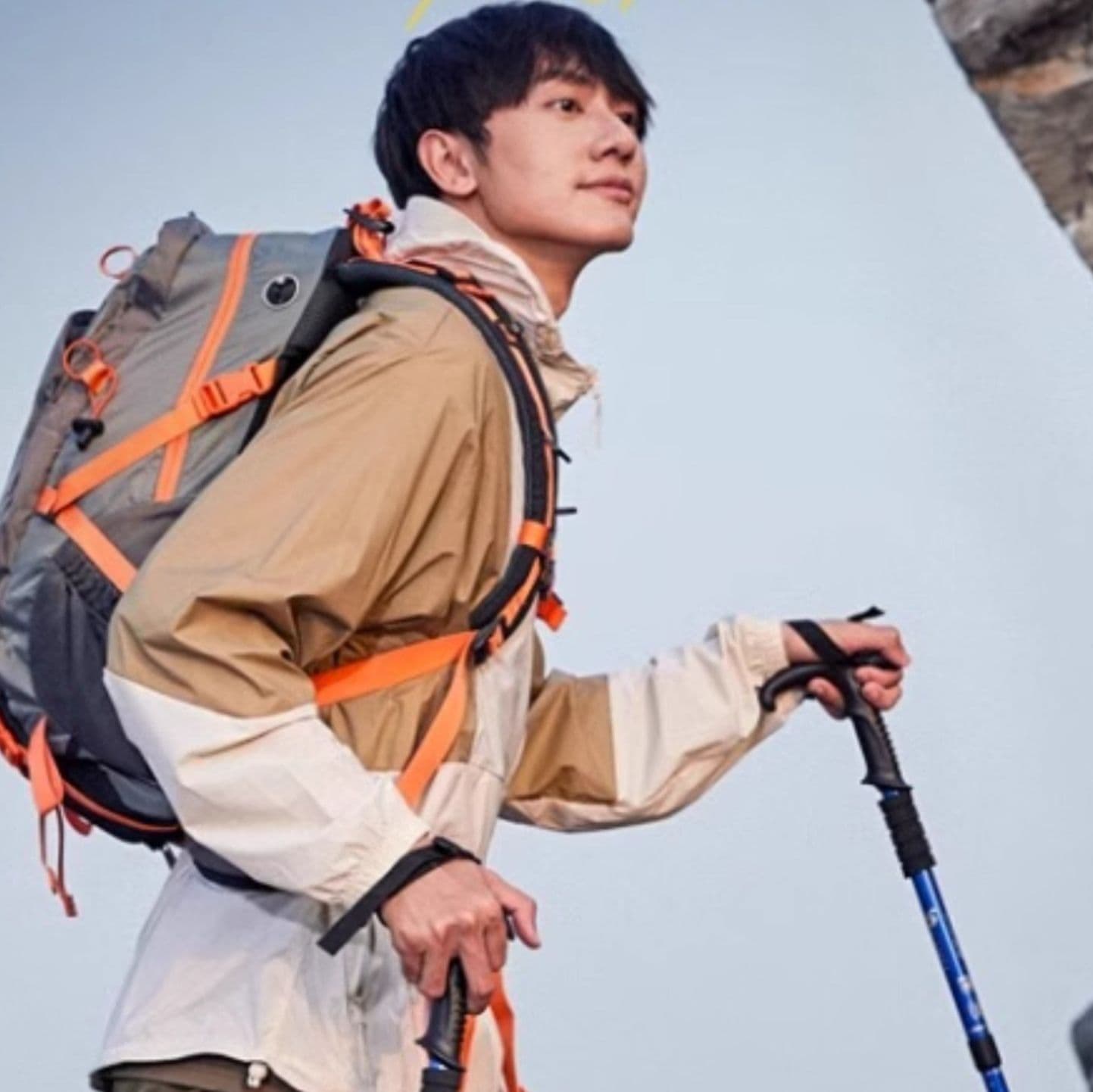 杖 軽量コンパクト女性用トレッキングポール