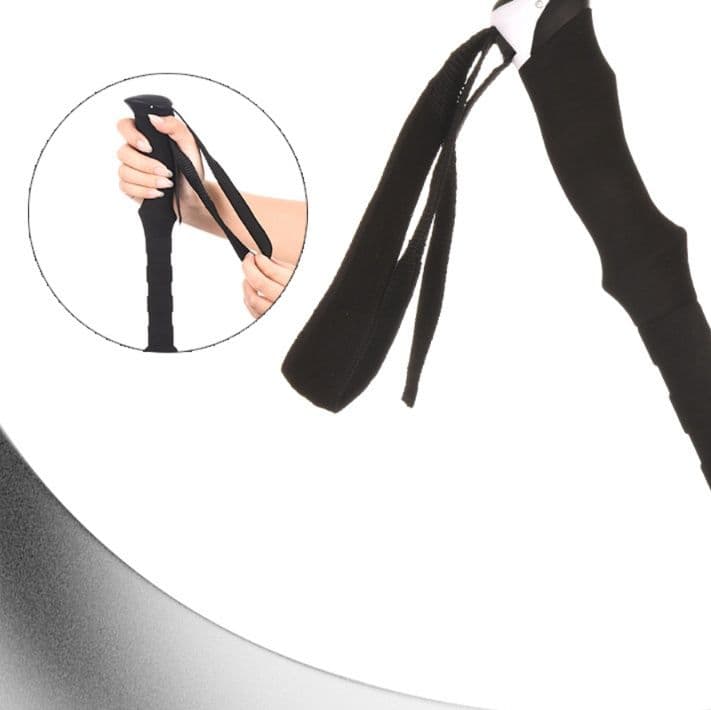 杖 岩場マスター 伸縮式登山杖