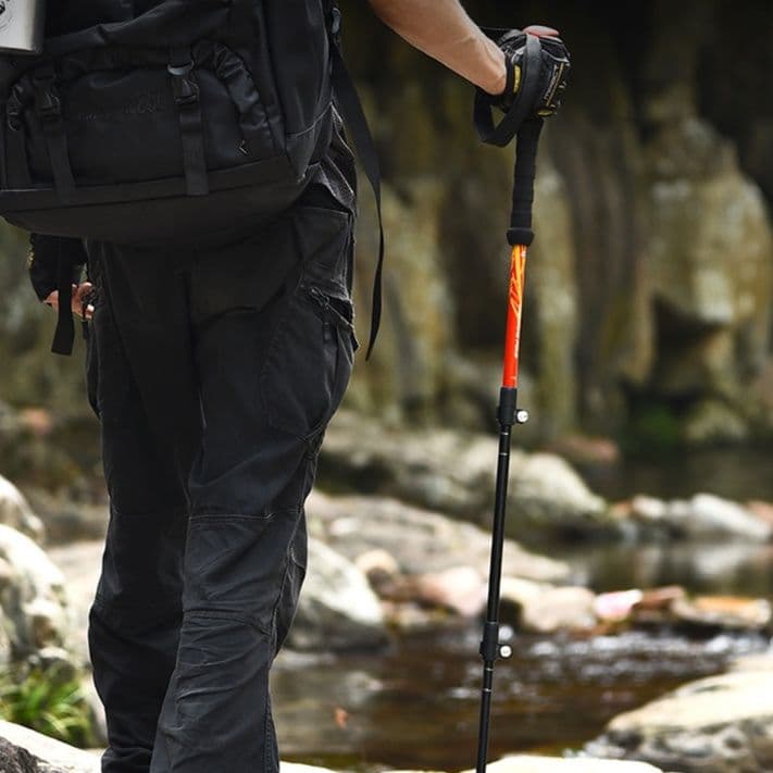 杖 岩場マスター 伸縮式登山杖