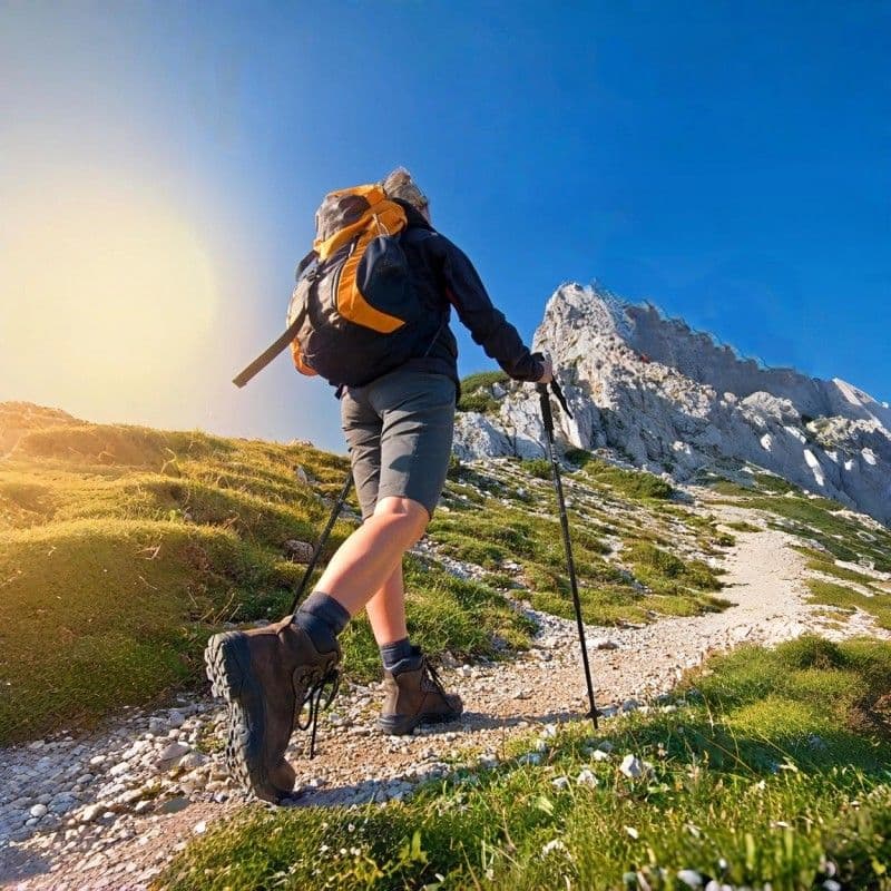 杖 軽量アルミニウム合金伸縮式登山杖