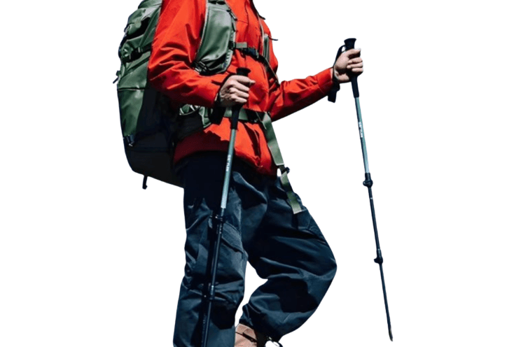 登山の杖 杖 超軽量 高耐久 登山用トレッキングポール