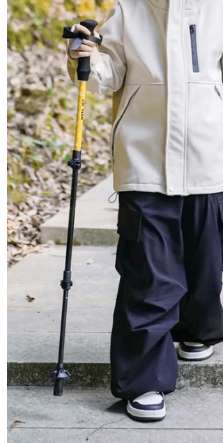 登山の杖 杖 超軽量 高耐久 登山用トレッキングポール