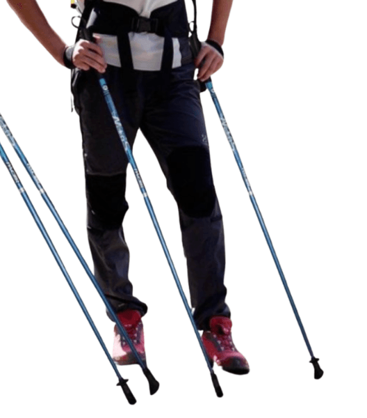 杖 ウォーキングの杖 超軽量 ノルディックウォーキングポール 2本セット
