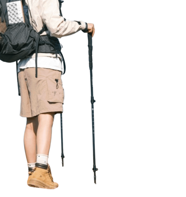 杖 登山の杖 軽量アルミ三段伸縮トレッキング杖