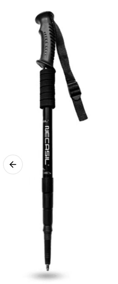 杖 プロフェッショナル登山サポーター