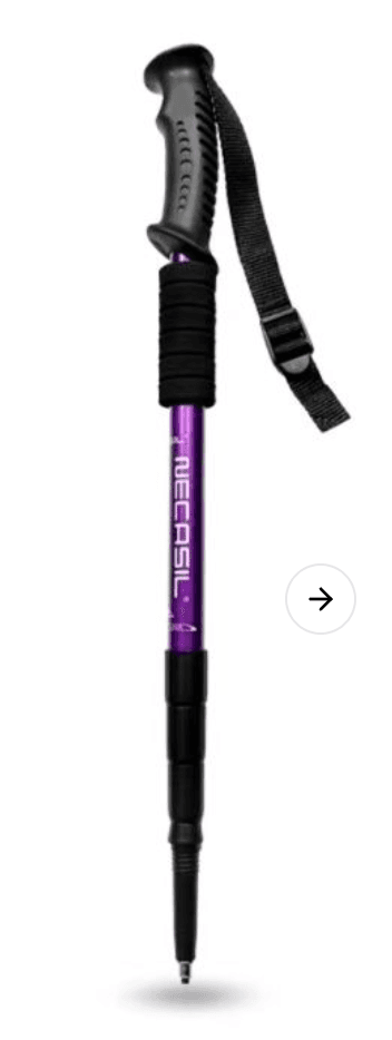 杖 プロフェッショナル登山サポーター