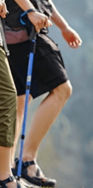 杖 四節伸縮衝撃吸収登山杖