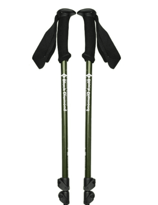 杖 高機能調節式トレッキングステッキ