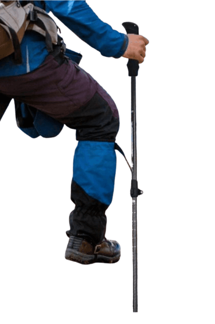 杖 プロフェッショナル登山サポート杖