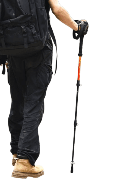 杖 岩場マスター 伸縮式登山杖