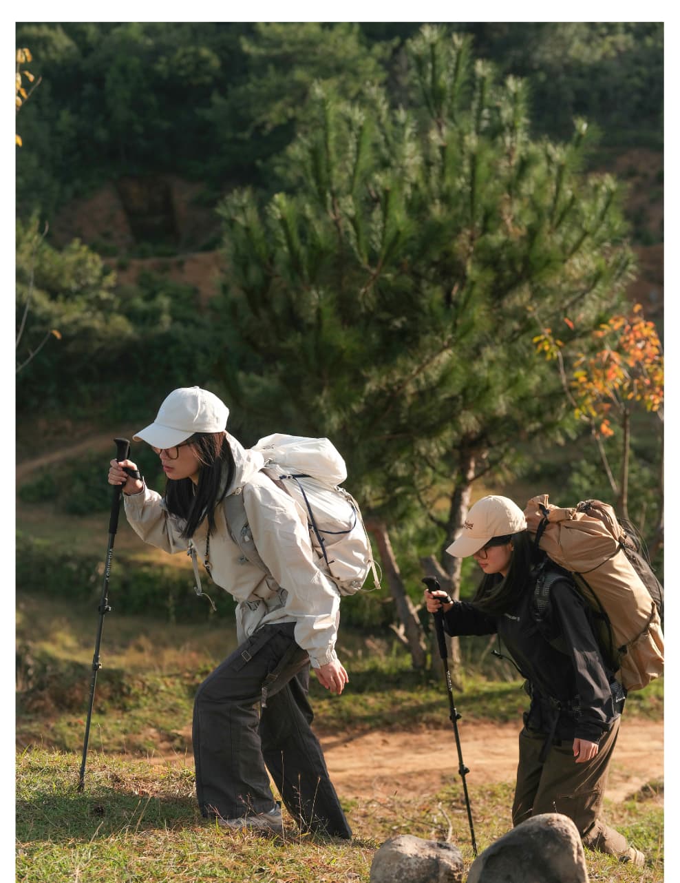 杖 登山の杖 軽量アルミ三段伸縮トレッキング杖