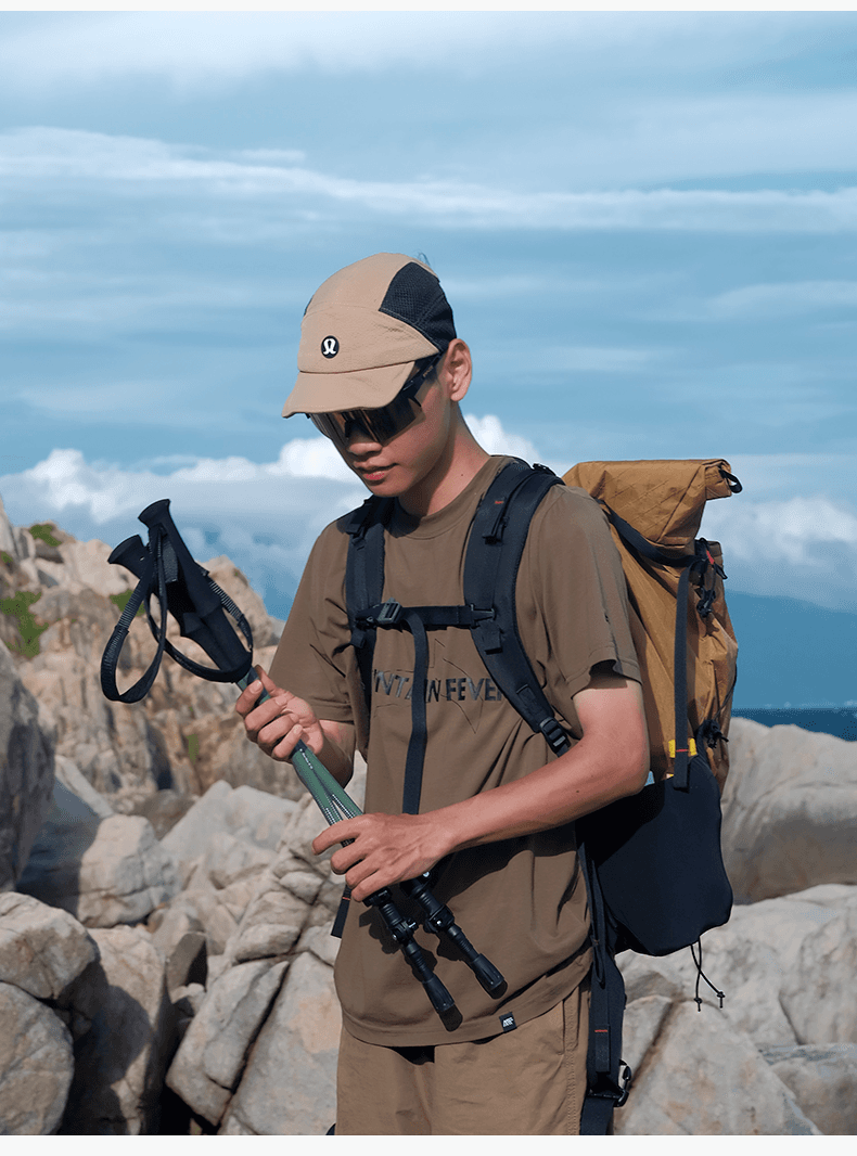 登山の杖 杖 超軽量 高耐久 登山用トレッキングポール