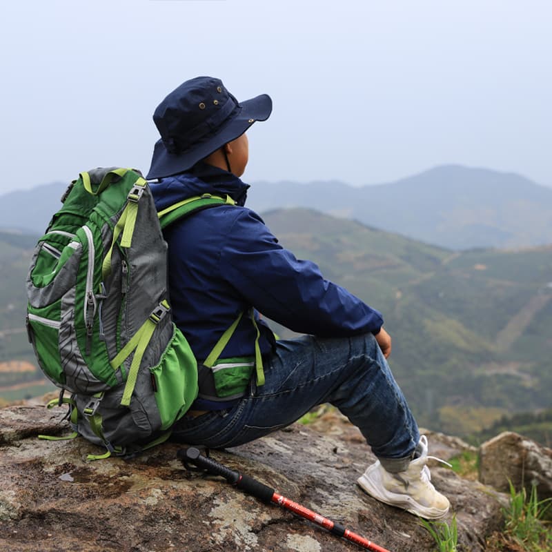 杖 登山の杖 軽量伸縮トレッキングポール