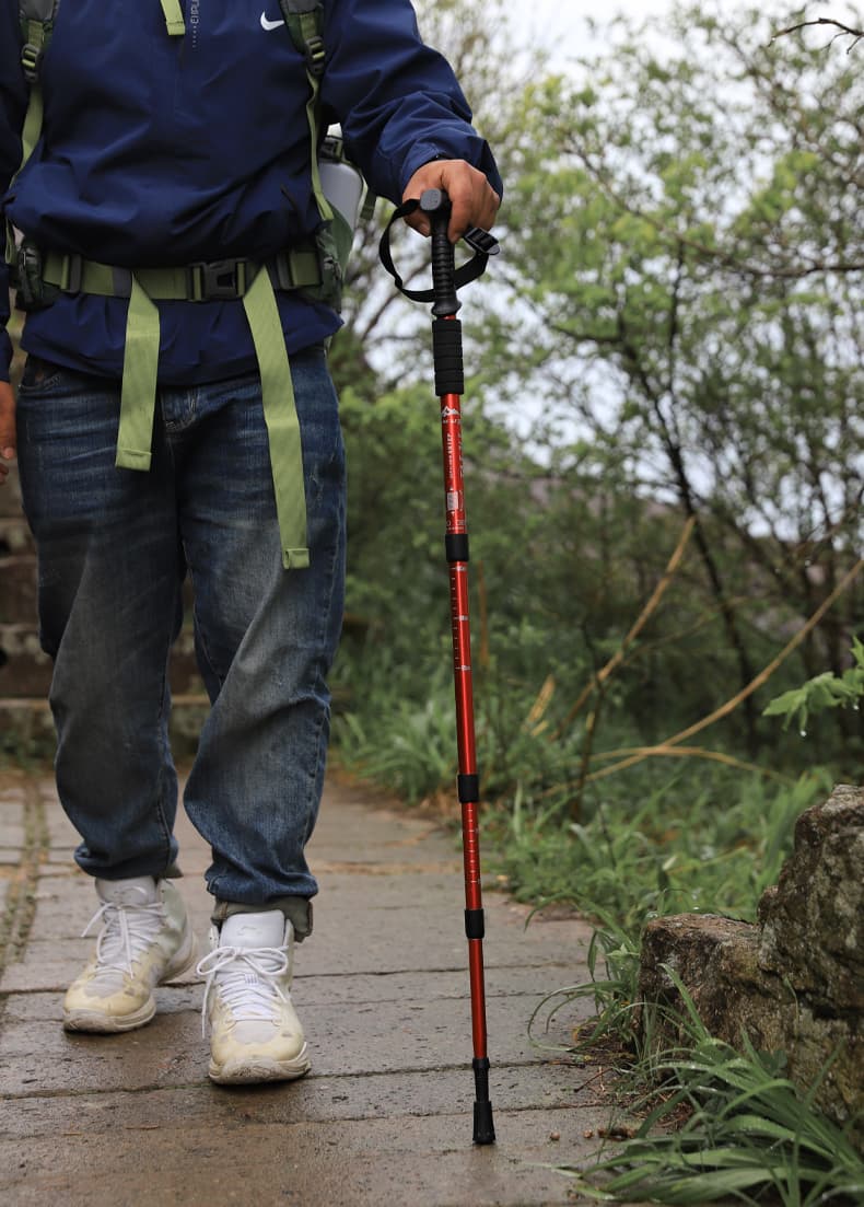 杖 登山の杖 軽量伸縮トレッキングポール