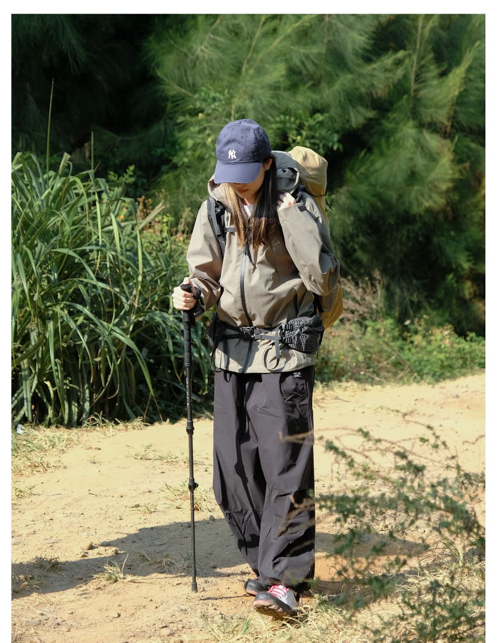 杖 登山の杖 軽量アルミ三段伸縮トレッキング杖