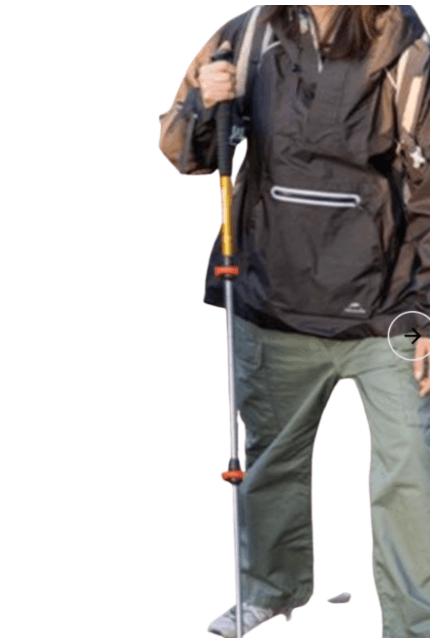 杖 三段伸縮家族登山杖